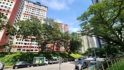 Blk 171 Stirling View (Queenstown), HDB 3 Rooms #504593671